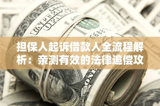 济南担保人起诉借款人全流程解析：亲测有效的法律追偿攻略