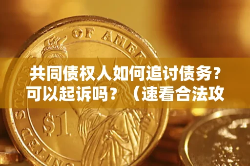 济南共同债权人如何追讨债务？可以起诉吗？（速看合法攻略）